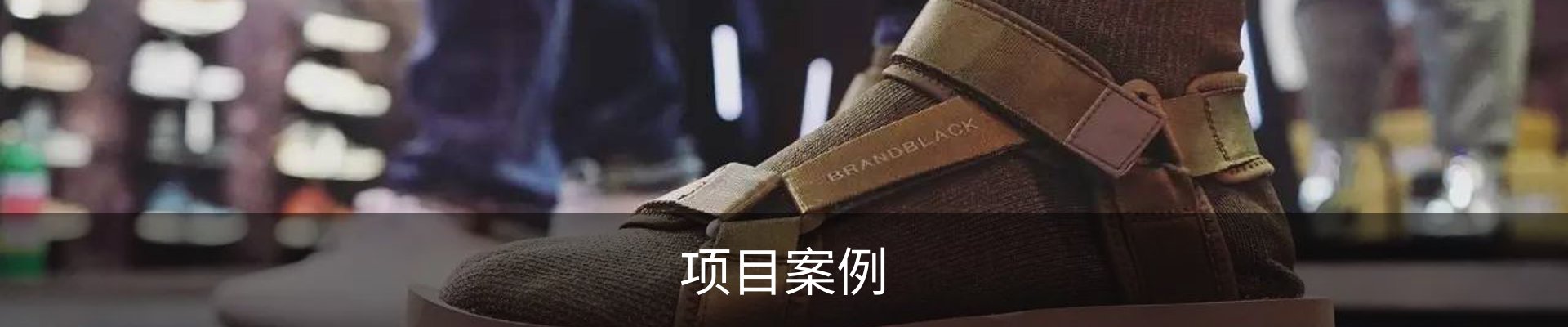项目案例